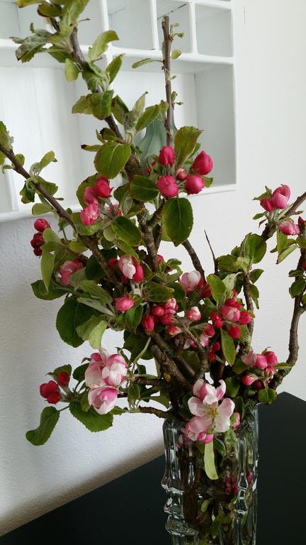 Utsira Overnatting - Fyrvokterboliger מראה חיצוני תמונה